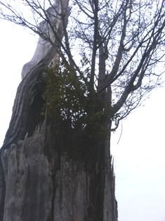f0031420_2085948.jpg