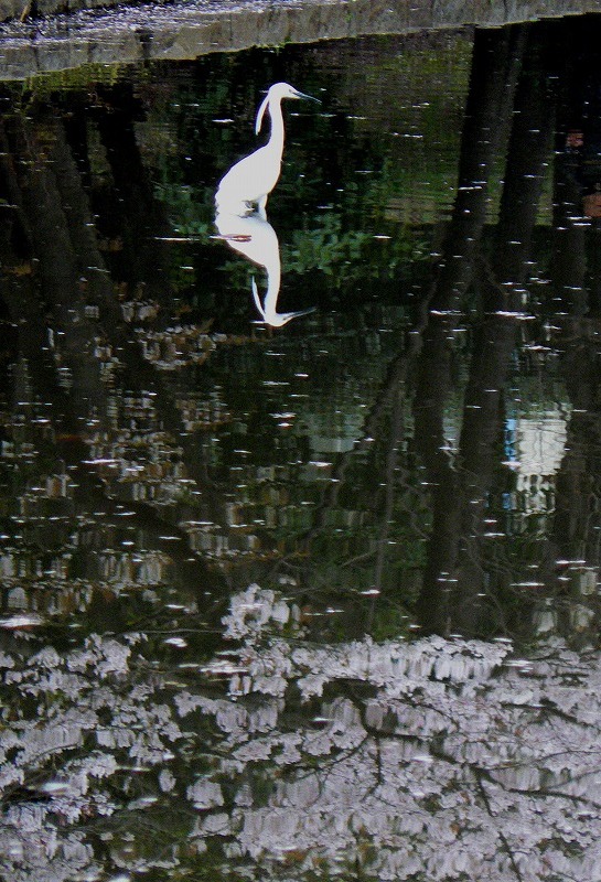 c0044021_18484117.jpg