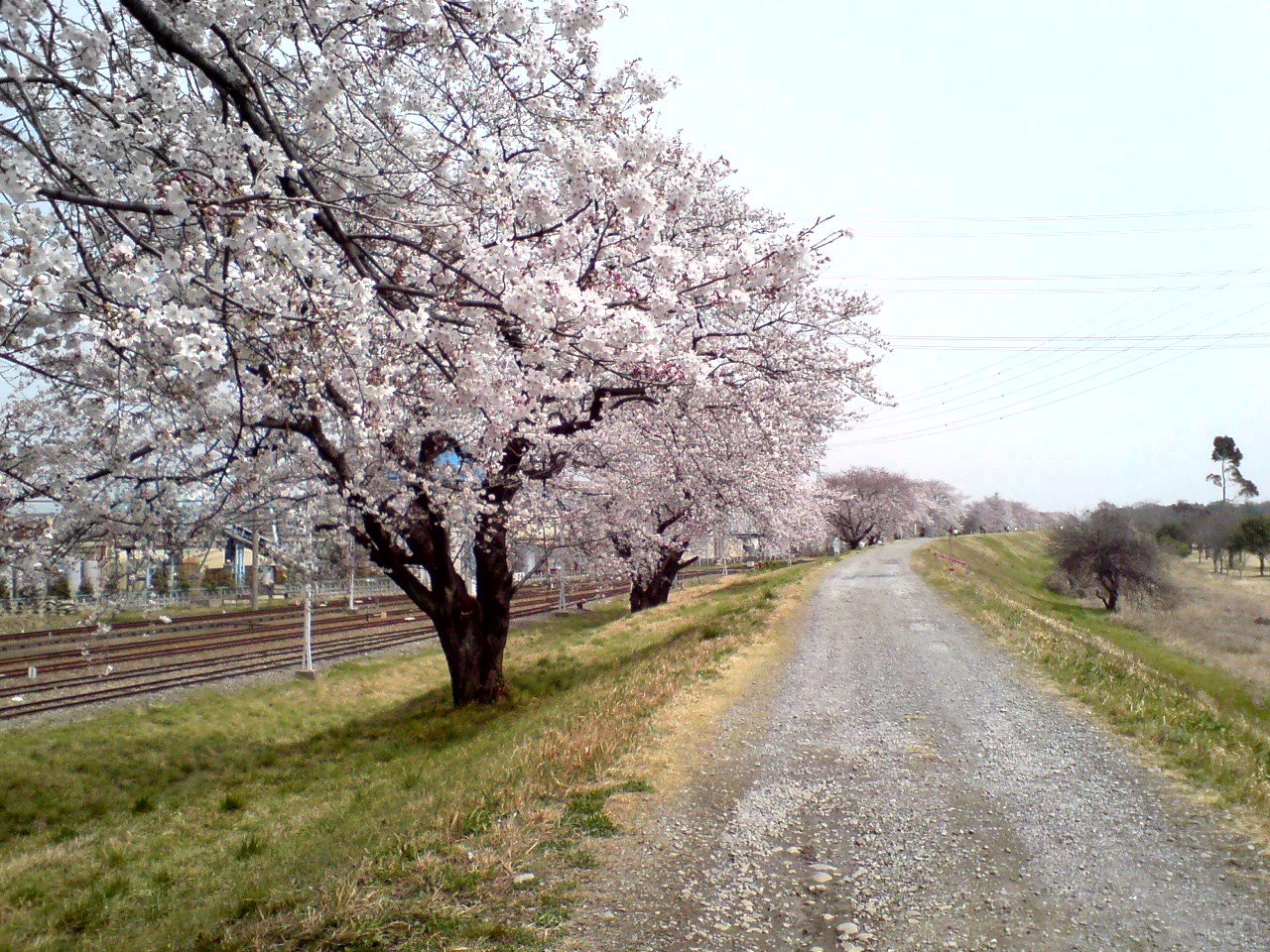 b0102023_1823628.jpg