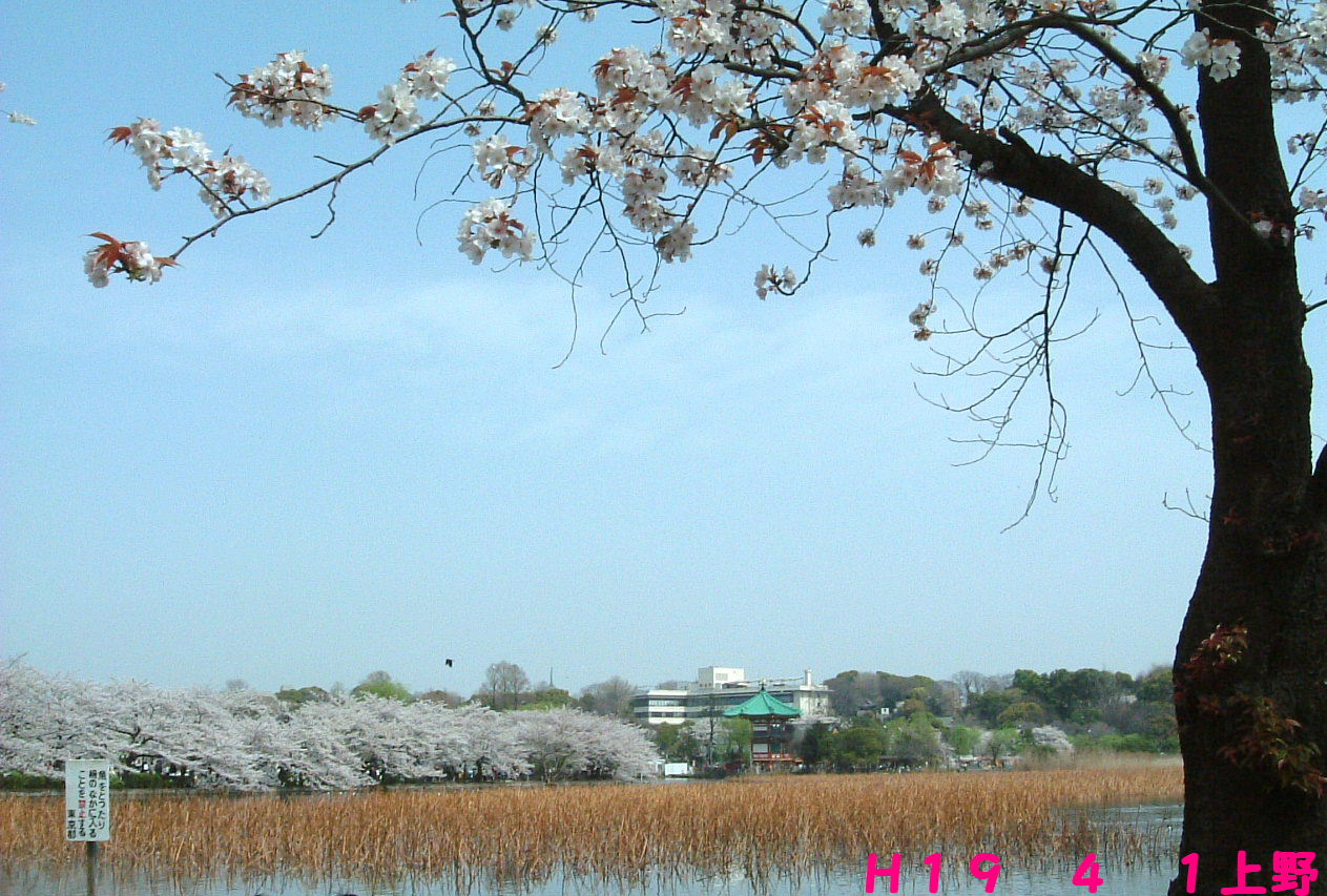 c0114128_8142289.jpg