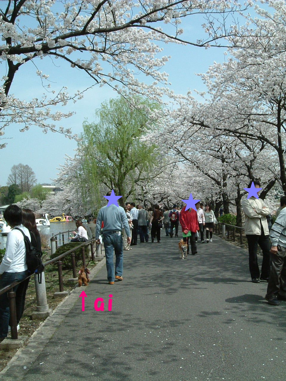 c0114128_8163438.jpg