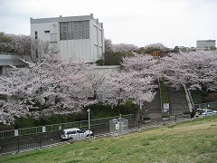b0006329_21163037.jpg