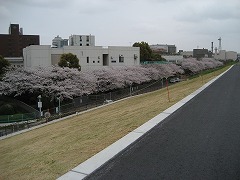 b0006329_2121438.jpg