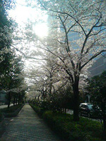 c0042029_159249.jpg
