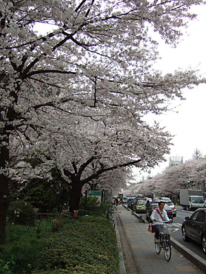 b0019232_16223327.jpg