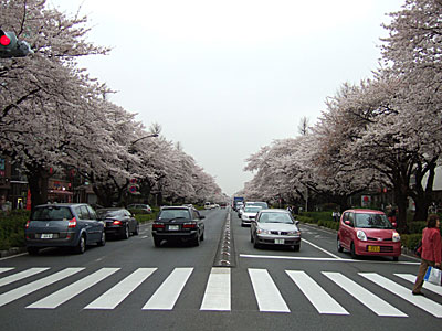 b0019232_16224894.jpg