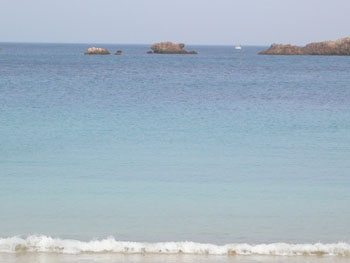 f0061334_10415973.jpg