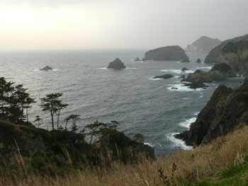 f0061334_10422294.jpg