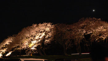 f0061334_1043468.jpg