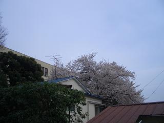 a0072737_14593324.jpg