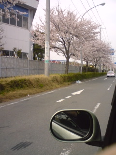 b0062337_23461414.jpg