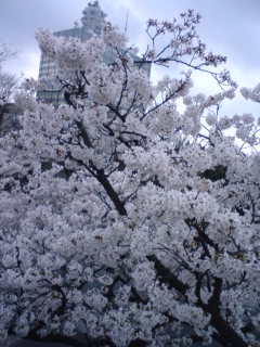 b0062337_23461495.jpg