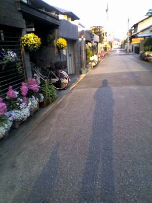 a0050838_20515895.jpg