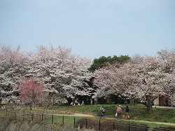 a0046339_001941.jpg