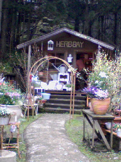 d0053940_21115715.jpg