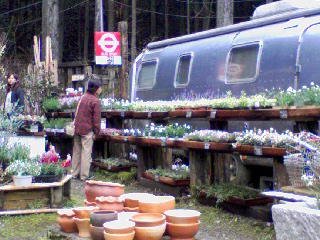 d0053940_21122276.jpg