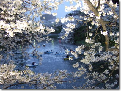 4月2日千鳥が淵緑道1