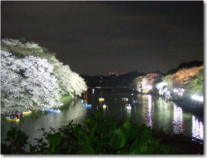 千鳥が淵緑道7