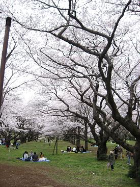 f0053847_18454259.jpg