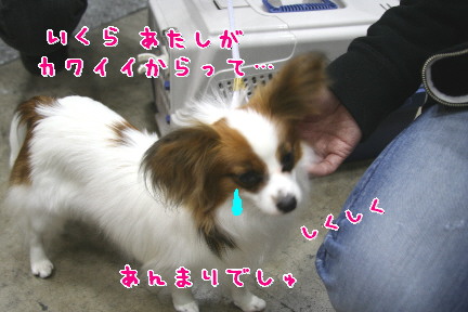 d0013149_0264492.jpg