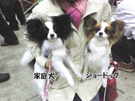 d0013149_0302820.jpg