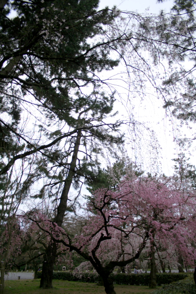 a0024250_2349990.jpg