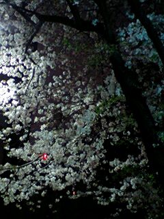 a0041150_253545.jpg