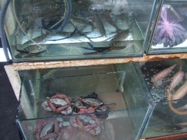 c0081552_12234891.jpg