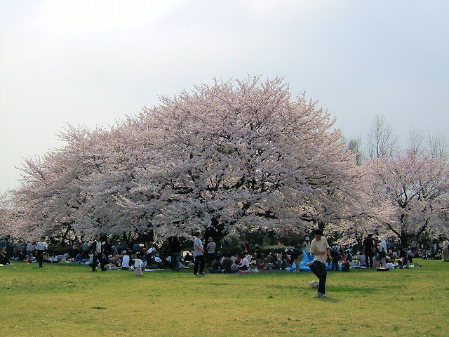a0031454_20484139.jpg