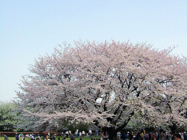 a0031454_20493957.jpg