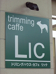 c0015354_10412868.jpg