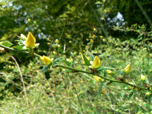 d0091754_2114446.jpg