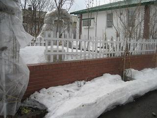 a0075455_1620699.jpg