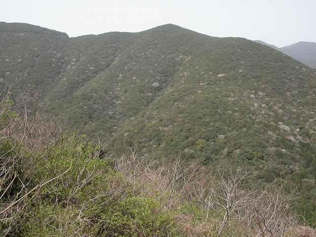 b0104861_2121165.jpg