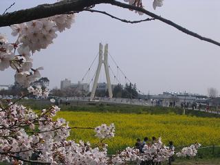 c0007266_13145732.jpg