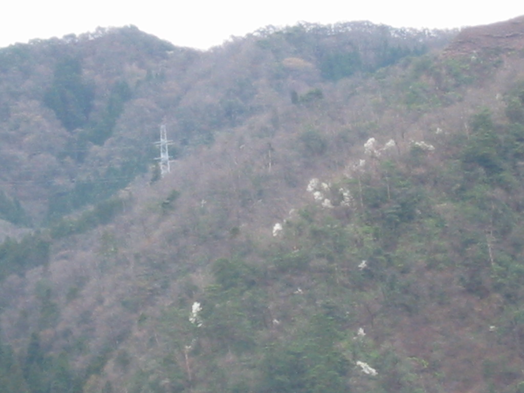 d0094868_104458.jpg