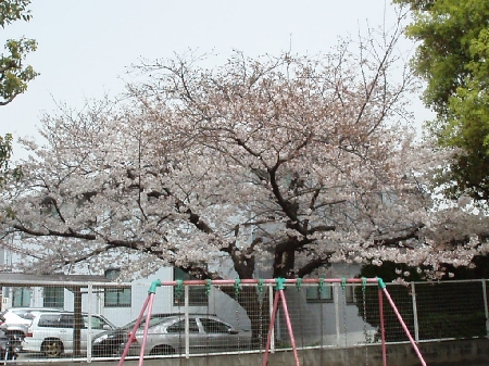 b0092475_2357213.jpg