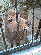 f0007079_7451024.jpg