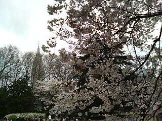 f0014183_11261251.jpg