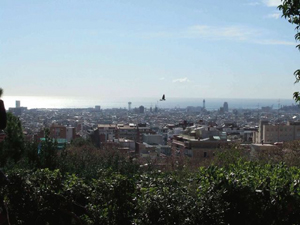 c0105386_8172646.jpg