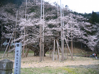 e0100086_22261335.jpg