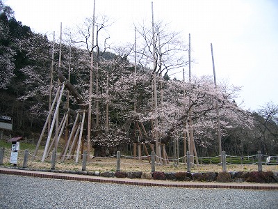 e0100086_22264371.jpg