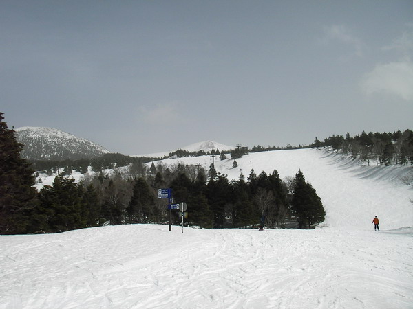 a0043193_22352886.jpg