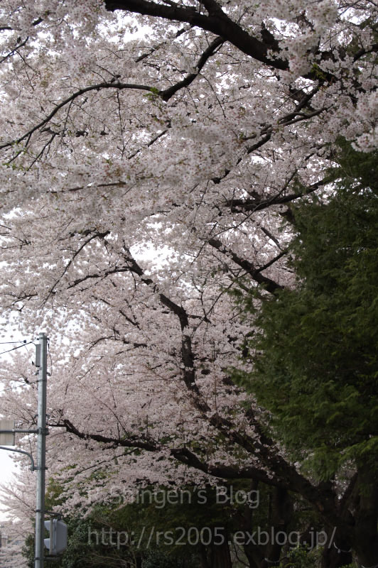 c0025498_147262.jpg