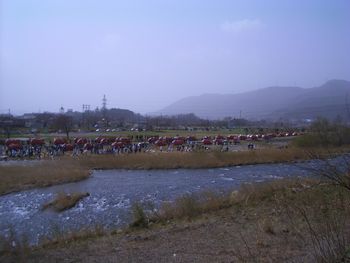 d0069498_134129.jpg
