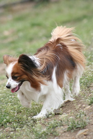 c0044199_23113140.jpg