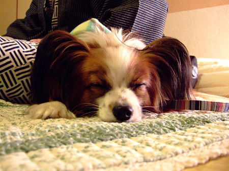 c0044199_23364340.jpg