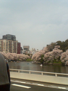 e0014199_04529.jpg