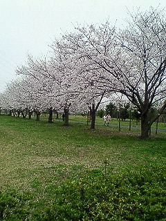 f0114900_8513598.jpg