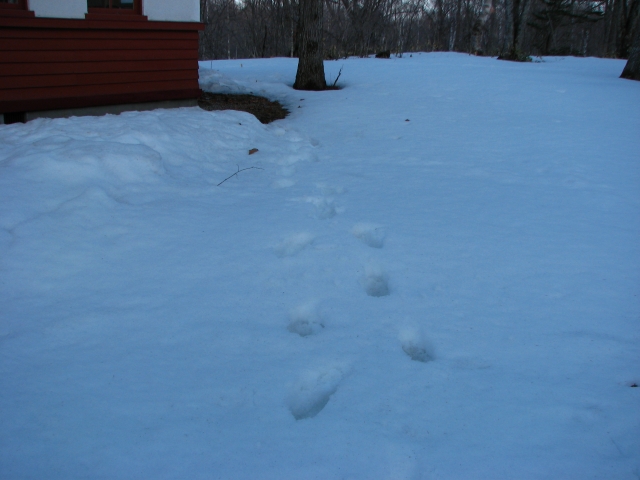 f0020302_20555137.jpg